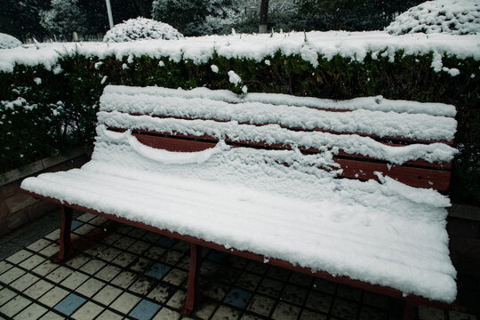 校园入口的雪景