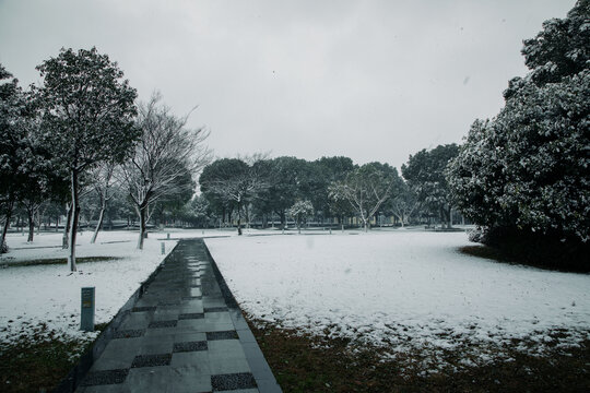 大雪后的校园