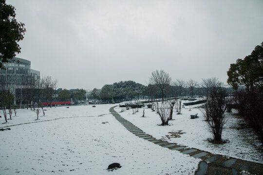 校园雪景