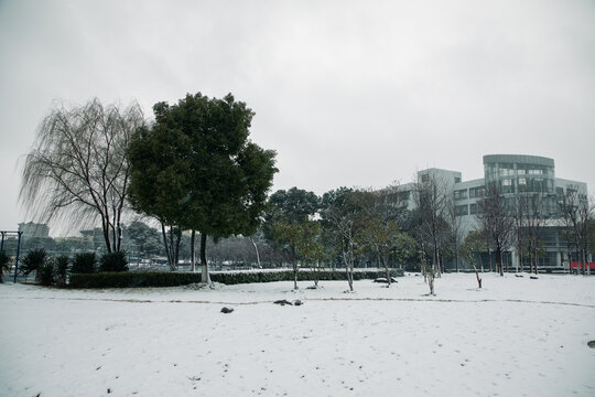 理工学院