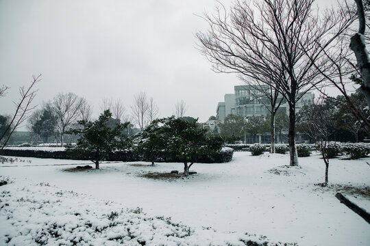 理工雪景