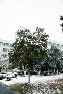 风雨操场