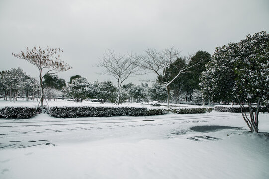 常熟大雪