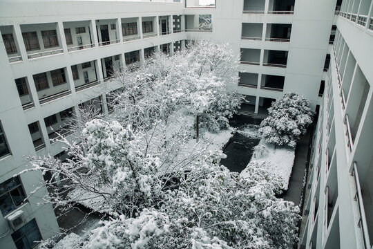 理工楼顶雪景