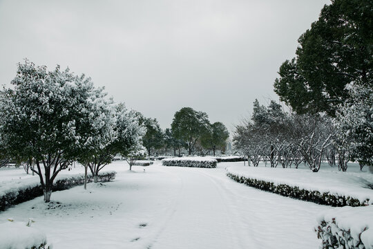 常熟理工大雪