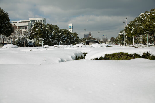 校园大雪