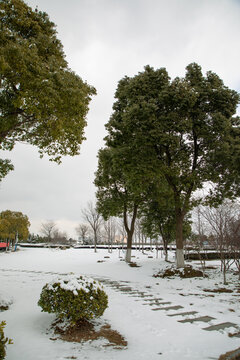 风雨操场雪景