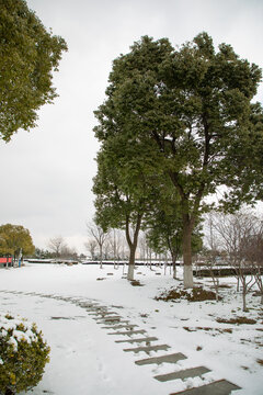 校园雪景