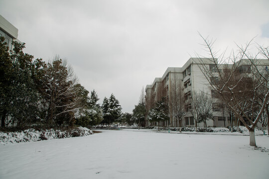 校园雪景