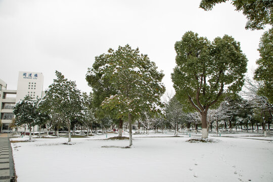 常熟理工雪景