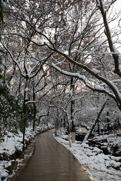 虞山雪景