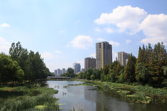 日照沙墩河公园风光