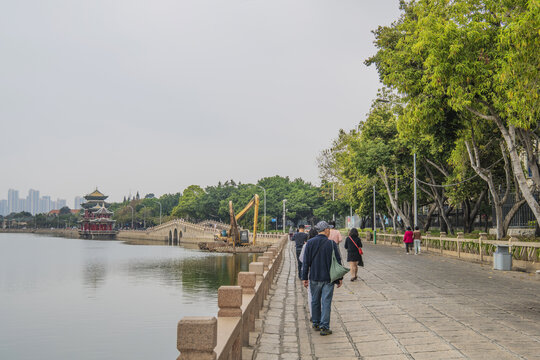 集美学村池岸边人行路与凉亭