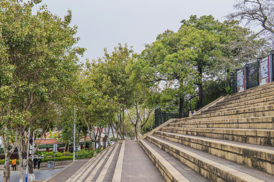 厦门集美学村石台阶与树木