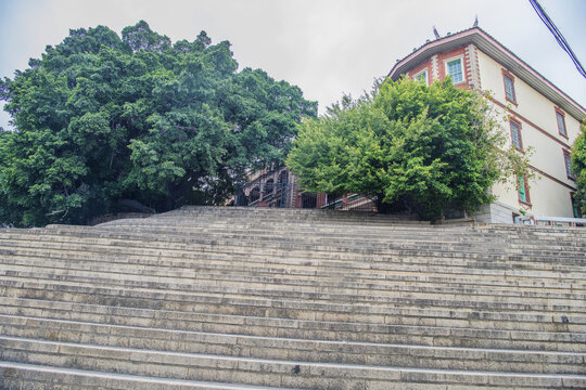 厦门集美中学延平楼石台树木