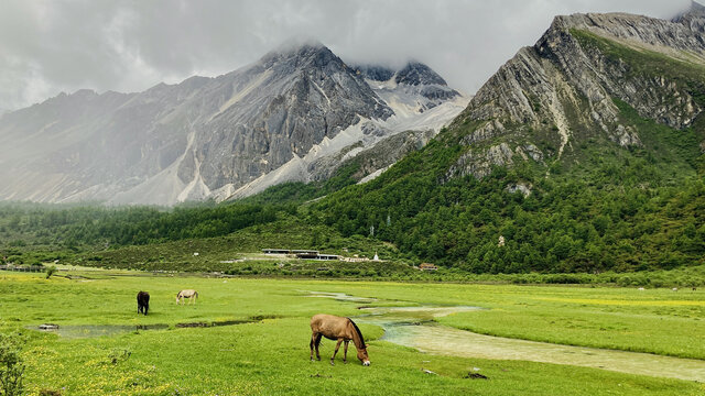 川西风景