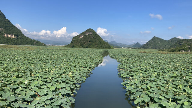 云南普者黑风光