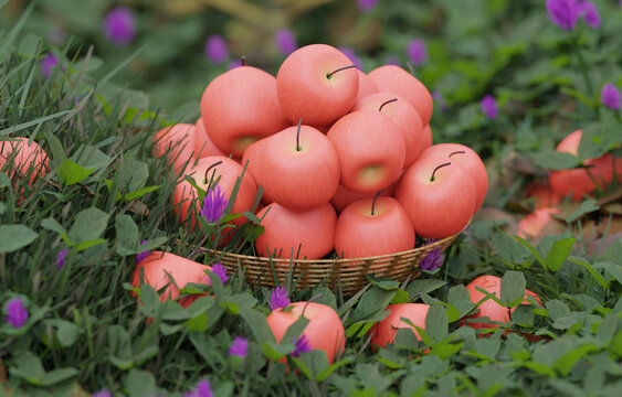 紅蘋果果園