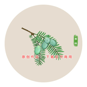 香榧