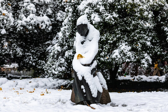 杭州曲院风荷雪韵