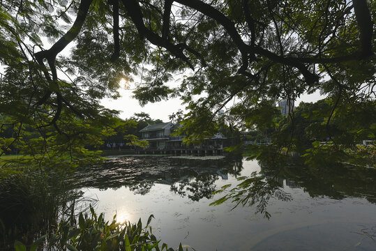 厦门中山公园风光