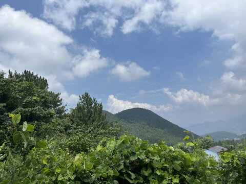 乡村风景