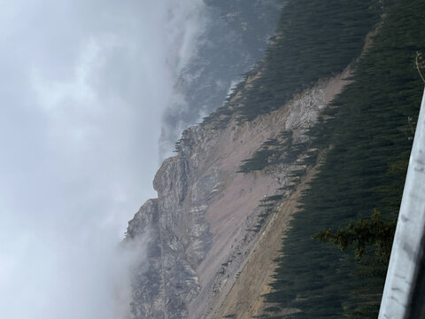 高山森林