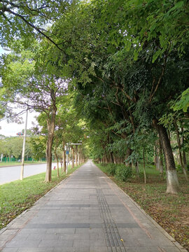公园绿道