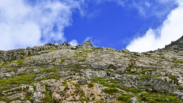 东川雪岭