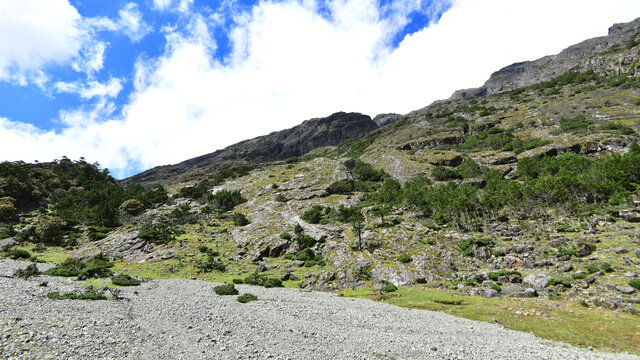 东川雪岭