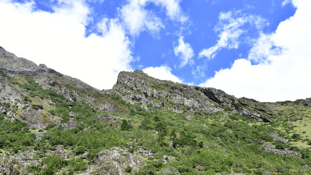 东川雪岭