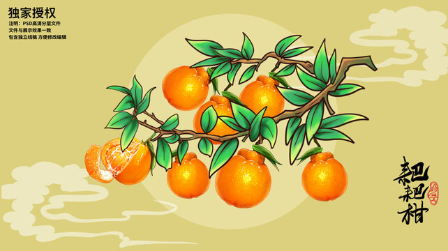 耙耙柑包裝插畫