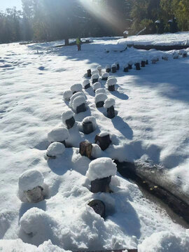 阿勒泰地区雪地自然景观