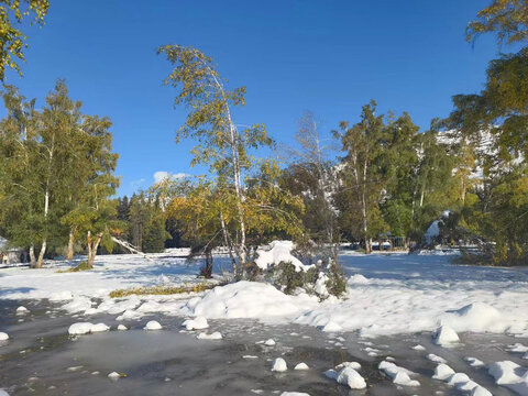 阿勒泰地区雪地自然景观