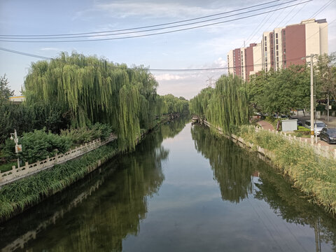 风景园林