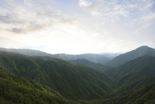 青山绵绵