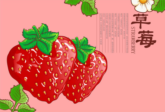 时令水果草莓插画
