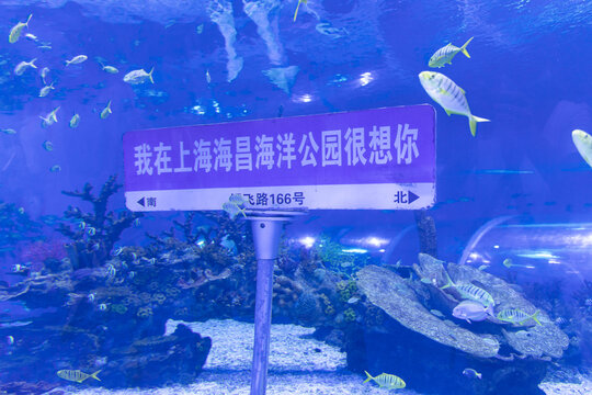 上海海洋公园