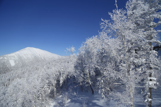 雪乡美景