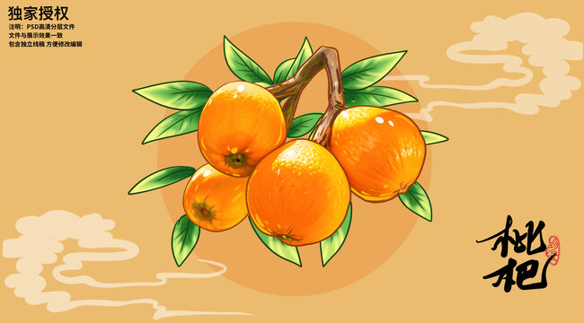 枇杷插畫(huà)