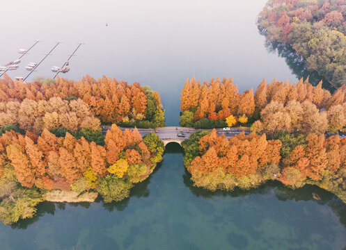 航拍杭州西湖隐秀桥和水杉