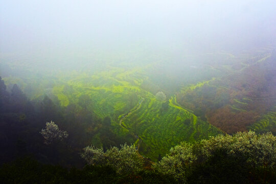 雾中篁岭