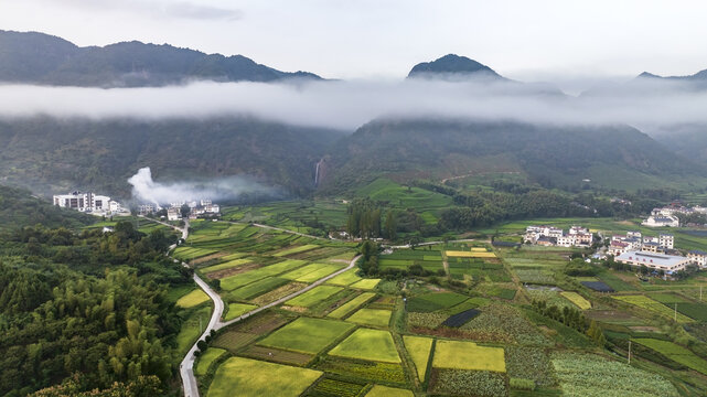 田园风光