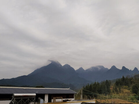 乡村风景