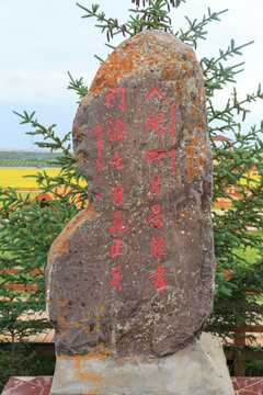 门源百里油菜花海芬芳浴景区