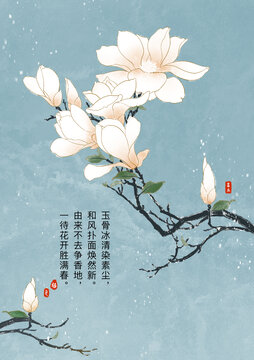 玉蘭花開