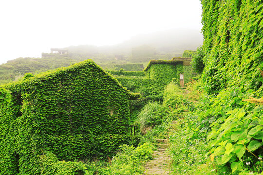 绿野仙踪无人村