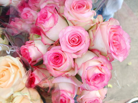 鮮花