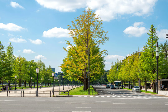 东京皇居外苑