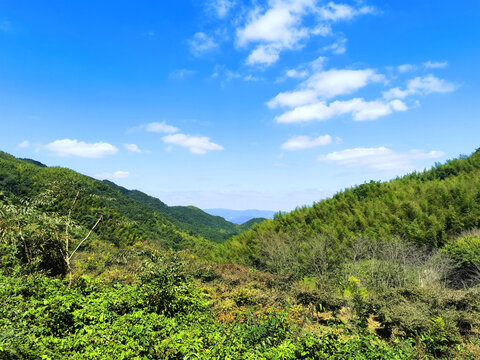 远处的村庄